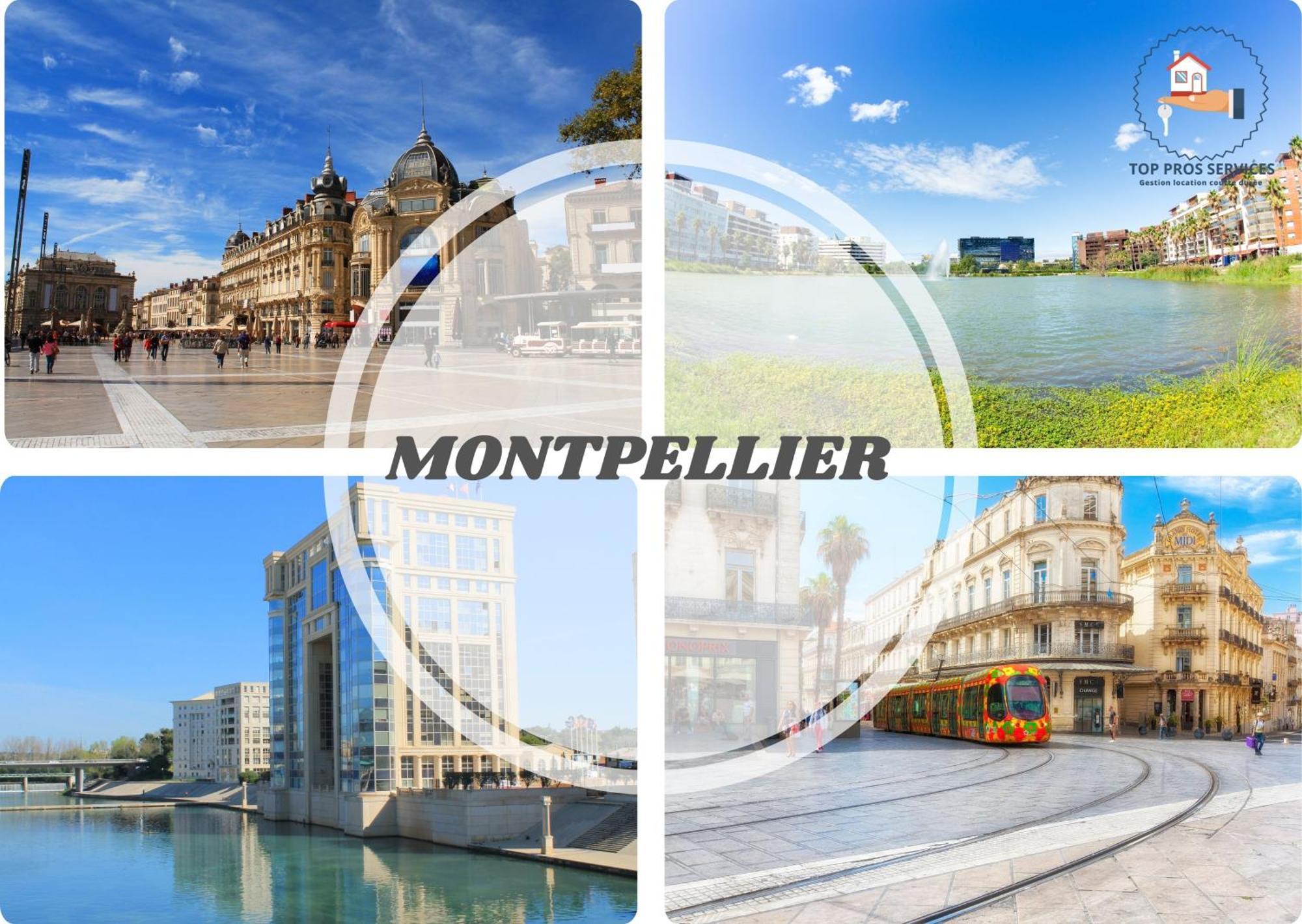 מוגויו Les Marines Port 2 Min Plage Camargue- Top Pros Services Conciergerie La Grande Motte מראה חיצוני תמונה